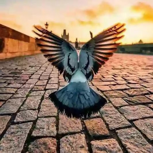 Eman Eid Photo 9