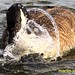 James Broadwater Photo 40