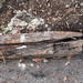 Donna Allen Photo 23