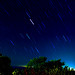 Mina Rains Photo 7
