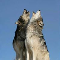 Jason Fiedler Photo 8