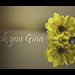 Gina Green Photo 41
