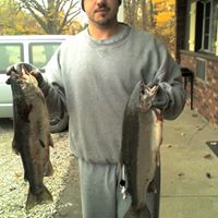 Steven Colyer Photo 3