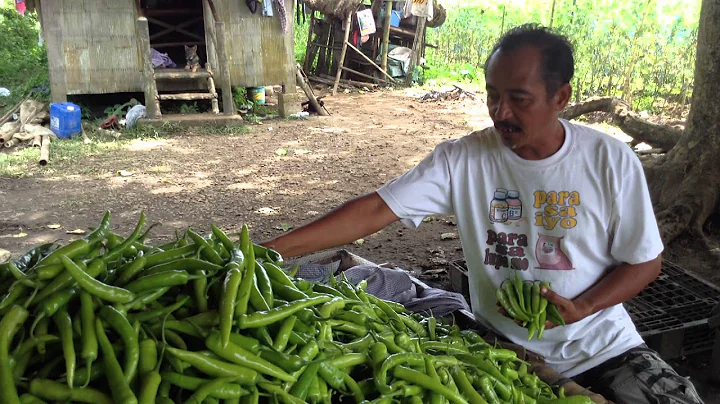 Nestor Kalaw Photo 7