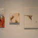 Jason Gillman Photo 35