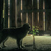 Timothy Sandy Photo 22