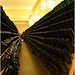 Marcus Goncalves Photo 29