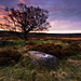 Dawn Lawrence Photo 35