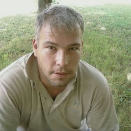 Stephen Collier Photo 12