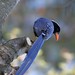 Bill Blue Photo 37
