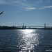Wayne Bridge Photo 35