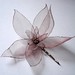Joy Dore Photo 17