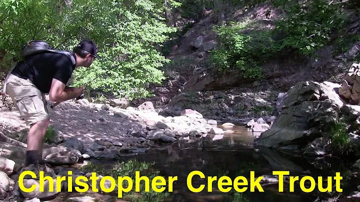 Christopher Trout Photo 32