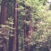 Janice Muir Photo 30
