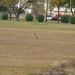 Jack Fields Photo 44