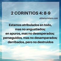 Eriberto Torres Photo 7
