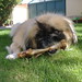 Leo Pappas Photo 22