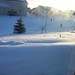 Wayne Blizzard Photo 19