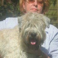 Denise Bain Photo 8