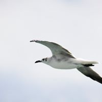 James Overton Photo 4