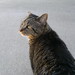 Larry Freed Photo 27