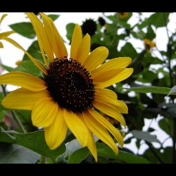 Steven Liu Photo 22