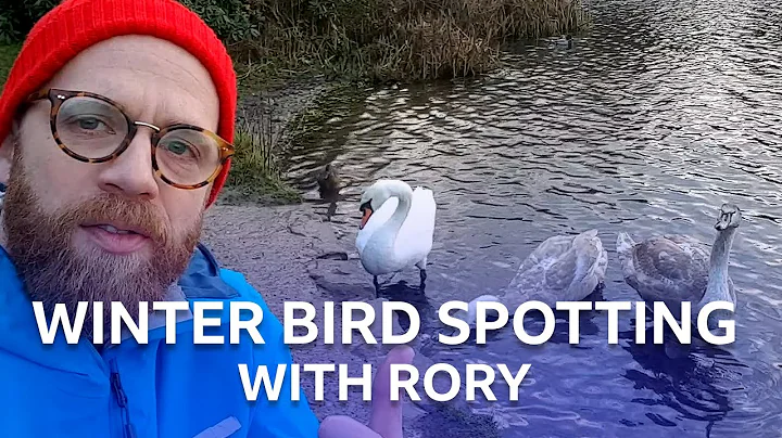 Rory Crawford Photo 30