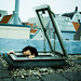 Robin Stein Photo 44