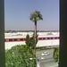 Karl Palm Photo 25