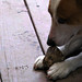 Gina Chew Photo 20