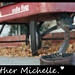 Michelle Tow Photo 17