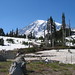 Mark Kautz Photo 21