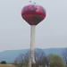 Virginia Apple Photo 21