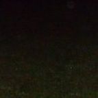 Christopher Goforth Photo 6