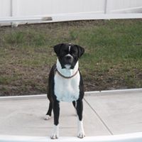 Roscoe Lowe Photo 1