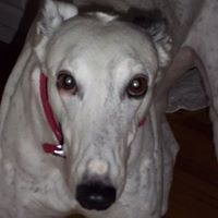 Cindy Mclendon Photo 3