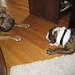 Wallace Bailey Photo 24