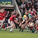 David Botha Photo 29