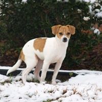 Buster Brown Photo 8