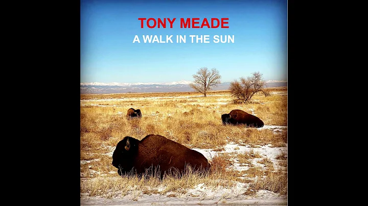 Tony Meade Photo 31