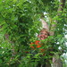 Zachary Peek Photo 20