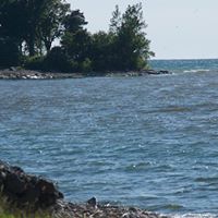 Michael Nehring Photo 4