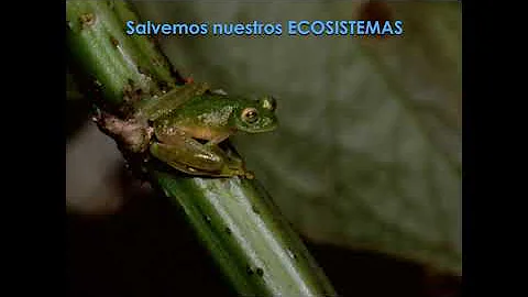 Aida Melendez Photo 24