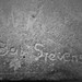 Bob Stevens Photo 44