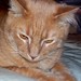Wally Hill Photo 28