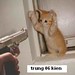 Hung Lu Photo 37