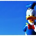 Donald Monday Photo 13