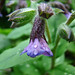 Paul Denham Photo 31