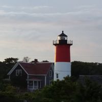 Nancy Walsh Photo 8
