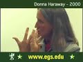 Donna Yale Photo 10